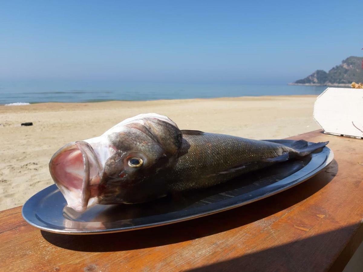 Bungalow Minonthebeach Гаета Екстер'єр фото