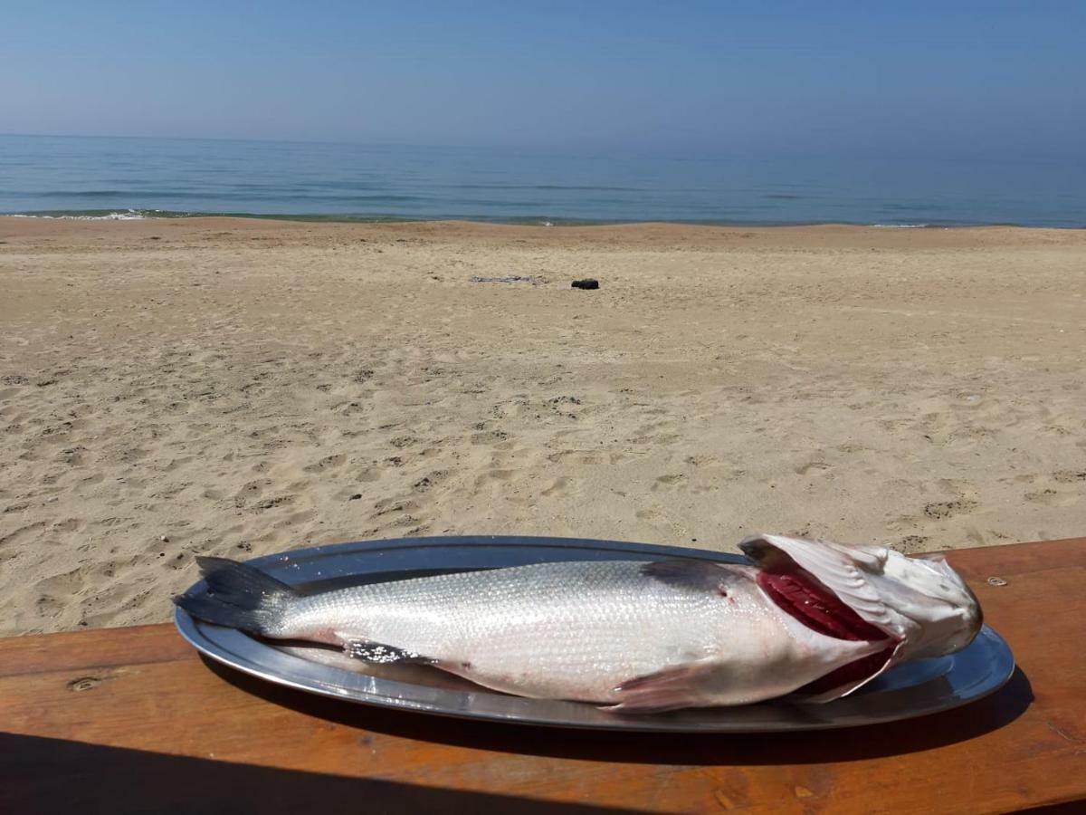 Bungalow Minonthebeach Гаета Екстер'єр фото